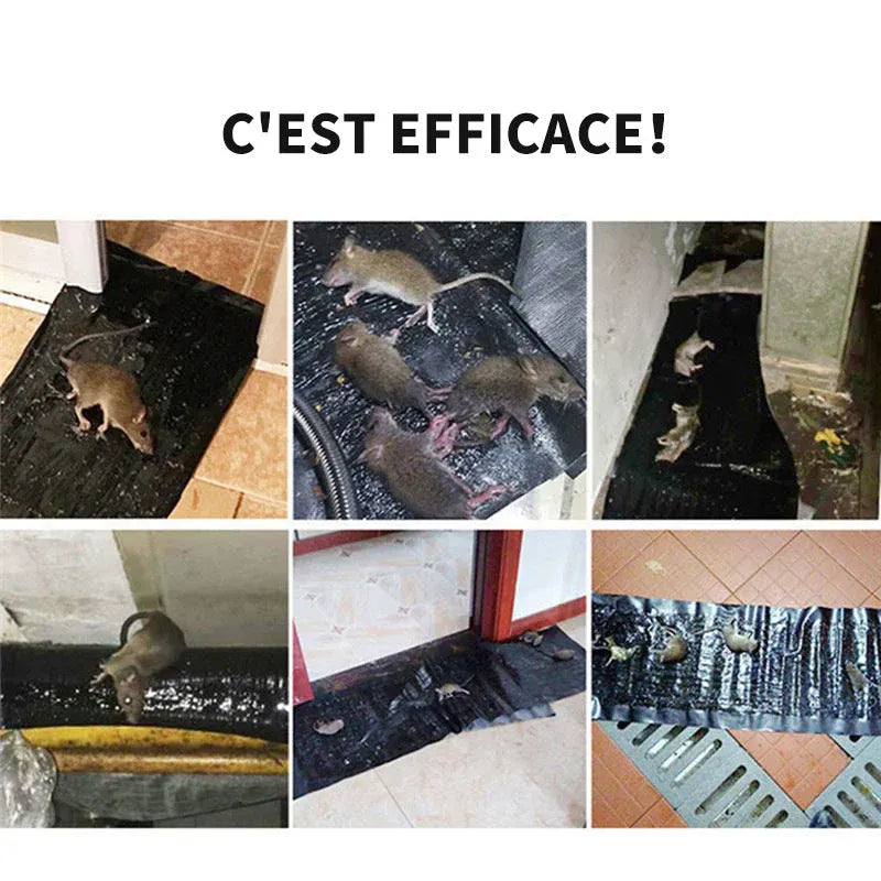 😎Piège à souris à détection😎 GB